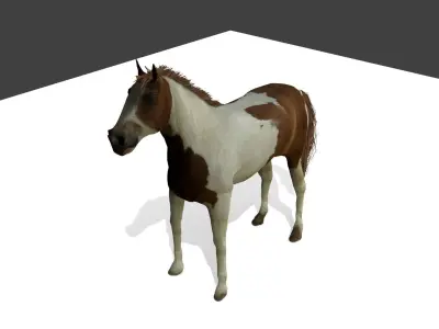 Detailed Paint Horse - Pinto 3D model
