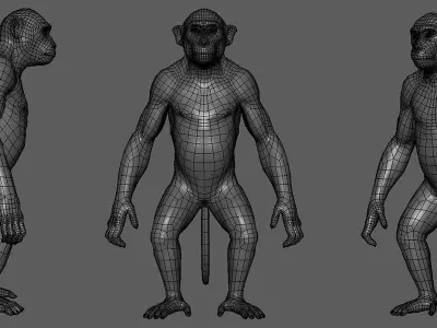 Monkey  3D model