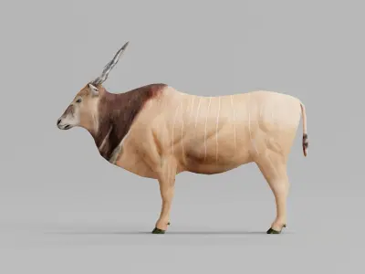 Greater Eland Antelope Low-poly 3D model