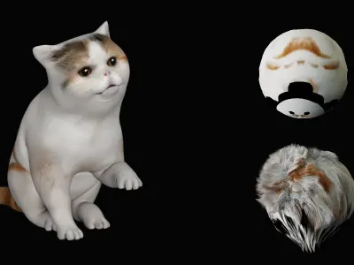 Exotic Shorthair Cat Low-poly 3D model
