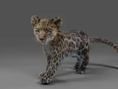 Fur Baby Jaguar Rigged in Blender Low-poly 3D model