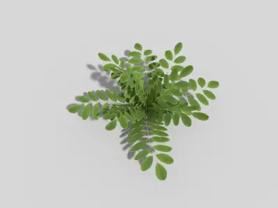 Low poly Plant fern Low-poly 3D model