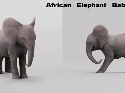 African Elephant Baby Low-poly 3D model