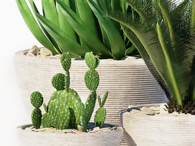 plants set 150 3D model