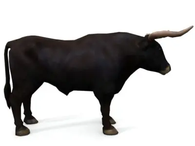 Bull Mammal Low-poly 3D model