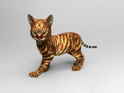 Wild Cute Cat Rigged  Low-poly 3D model purchase