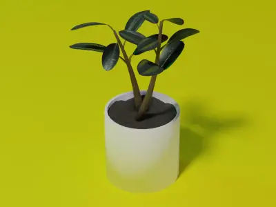 Ficus Burgundy Rubber Tree PBR Ready for Unreal Engine 5 Low-poly 3D model