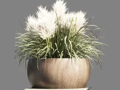 outdoor indoor pot palnt grass the dry pampas stand vase wooden 3D model