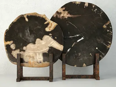 Black Petrified Wood Slices 3D model