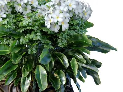 Ornamental plant flowerbed white flowers in modern designer vase 3D model