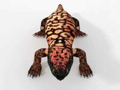 Gila Monster Low-poly 3D model