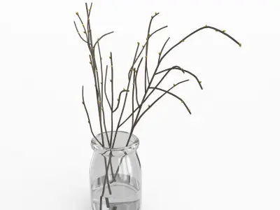 Branches in Glass Vase 3D model