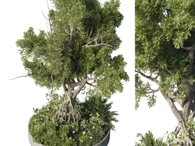 Garden plants - outdoor plant set 192 3D model