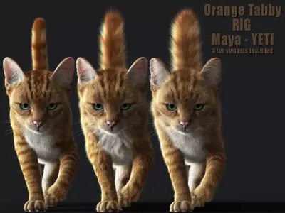 Cat Orange Tabby RIG  YETI version 3D model