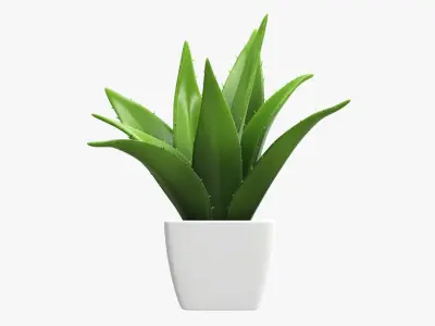 Cactus composition artificial 01 3D model