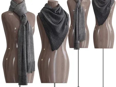 Shawl over the body 3 3D model