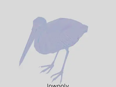 Realistic Pelican Bird 3D Model Low-poly 3D model