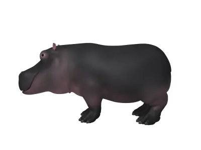 Hippopotamus Cartoon 3D model