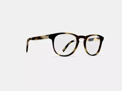 Baker Eyeglasses in Striped Sassafras 3D model