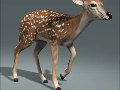 Deer Family ANIMATED 3D model