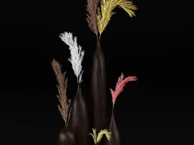 pampas pack 3D model