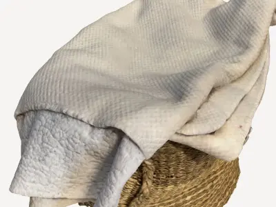Basket with Blankets 3D print model