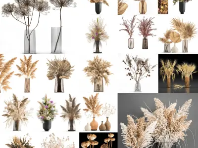 Collection of bouquets of dried flowers 30 pieces  3D model