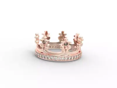 Ring crown 3D print model