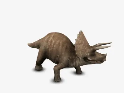 Triceratop 3D model