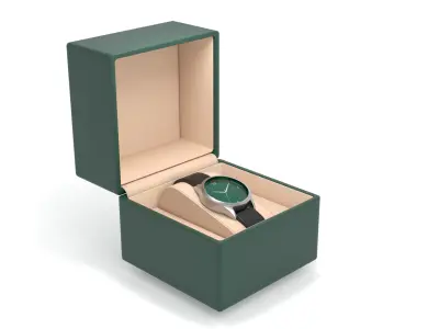 Watch with case 3D model