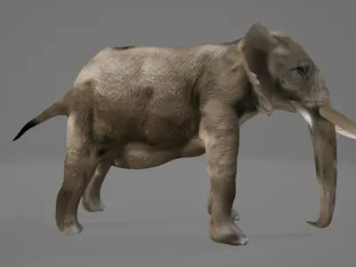 Elephant with long tusks 3D model