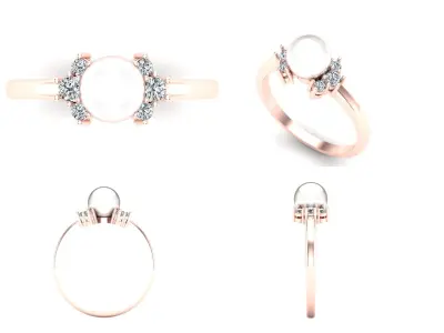 Ring 48 3D print model