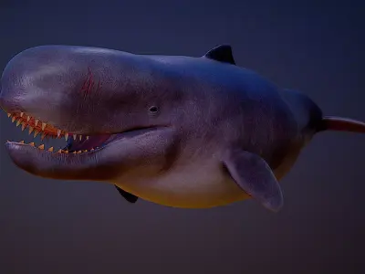 Livyatan Melvillei  3D model purchase