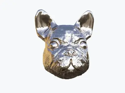 Sculpted dog face  3D model