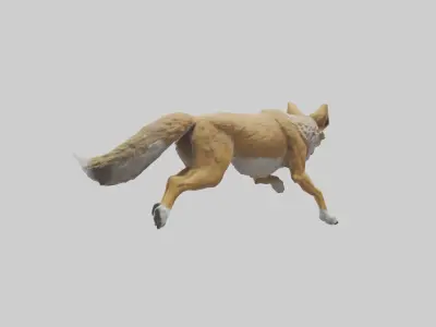 Coyote running model 3D model