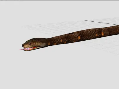 python snake dark brown  3D model