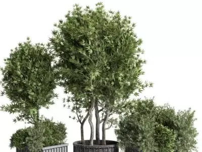 Collection Outdoor plant in concrete pot 16 Low-poly 3D model