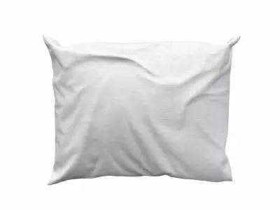 Solid Pillow 13 3D model