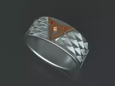 CUPRA RING 3D print model
