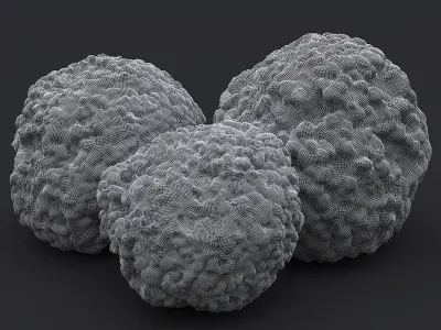 Stone XVII 3D model