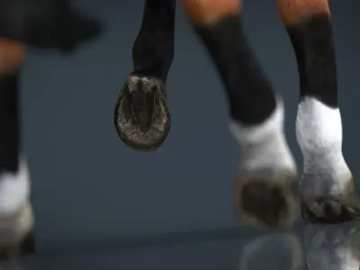  Dressage Horse Low-poly 3D model