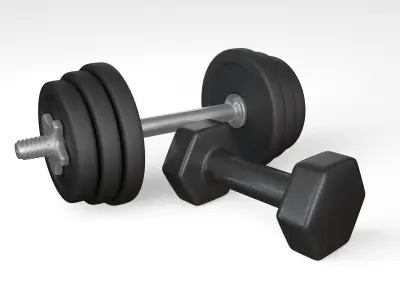 Dumbbells 3D model