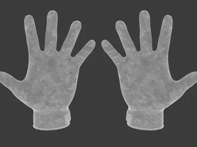 Handball Gloves 3D model