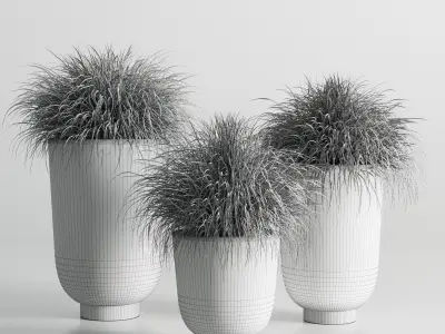 collection Indoor plant 54 vase concrete plant grass pot 3D model