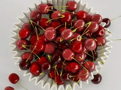 Cherry bowl 3D model