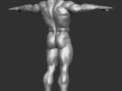 Male Template Muscle Buff Superhero Body 3D model