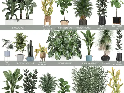 Collection of potted plants for the interior of 20 pieces set 2 3D model