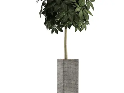 Plants Collection 46 3D model