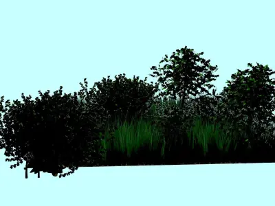 Forest 3D model