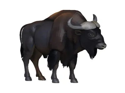 Bison Low-poly 3D model